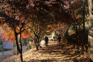 붉은 단풍이든 가을철 수리산
