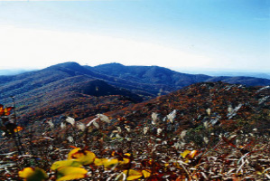 수리산 전경