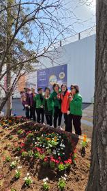 봄꽃식재 이미지