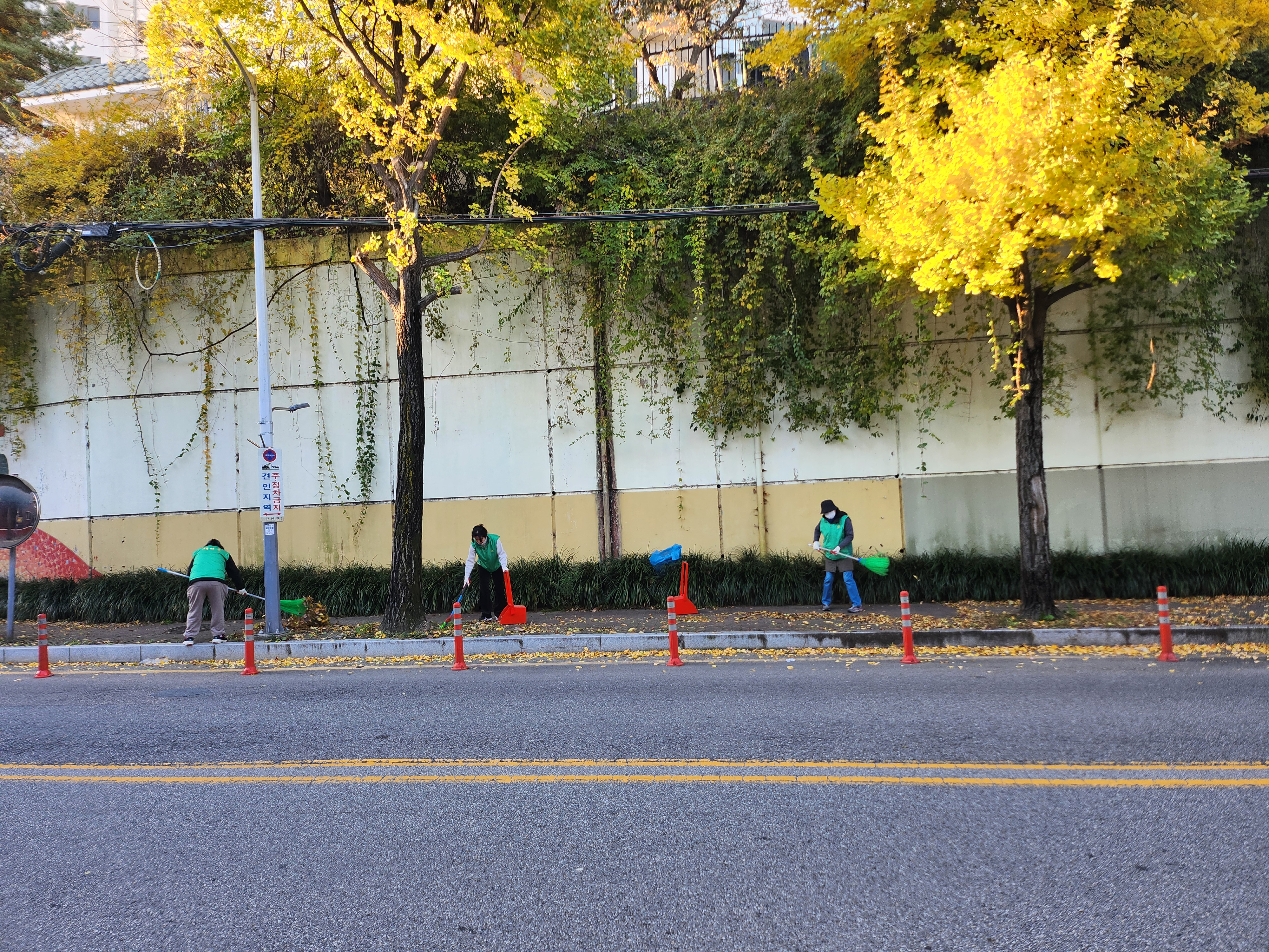 안양3동 새마을부녀회 관내 환경정화 실시 이미지