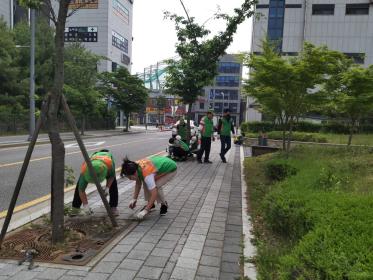 안양7동 자율방재단, 관내 환경정화 활동 실시 이미지