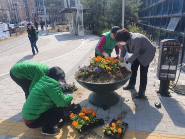 안양7동 새마을부녀회, 관내 봄꽃 식재 이미지