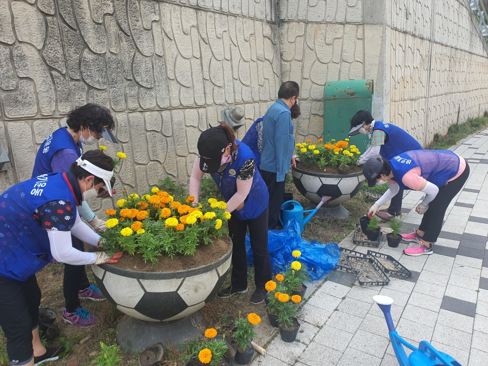 2022.6.21. 바르게살기위원회, 관내 대형화분 여름꽃 식재 이미지