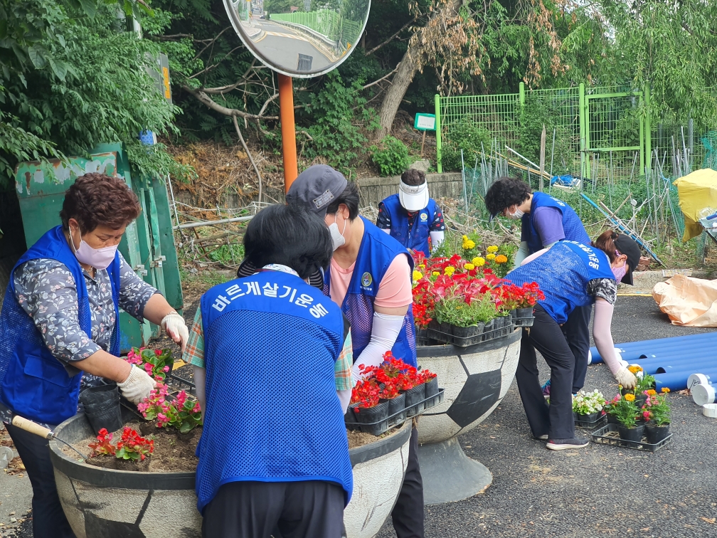 2022.6.21. 바르게살기위원회, 관내 대형화분 여름꽃 식재 이미지