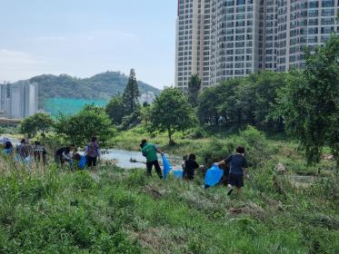 박달1동 사회단체, 안양천변 환경정화활동 실시 이미지