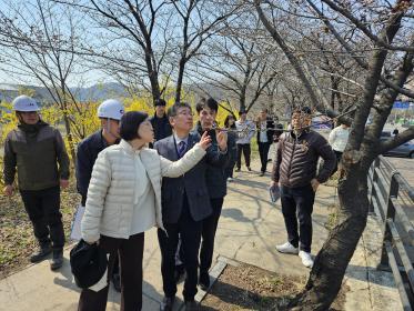 2025.04.01. 2025 안양충훈벚꽃축제 현장점검 이미지