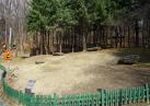 ﻿自由公園支石墓 이미지