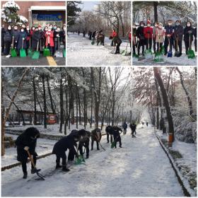 부흥동 사회단체원 관내 제설활동 실시 이미지
