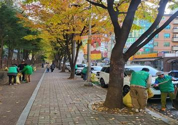24.11.8. 낙엽 제거 및 하천 화단 정비 이미지