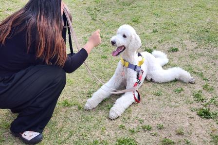 2025 반려동물 사랑나눔 축제 이미지
