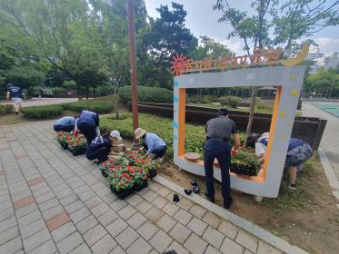 범계동 통장협의회 & 새마을 부녀회 가을 꽃 식재 이미지