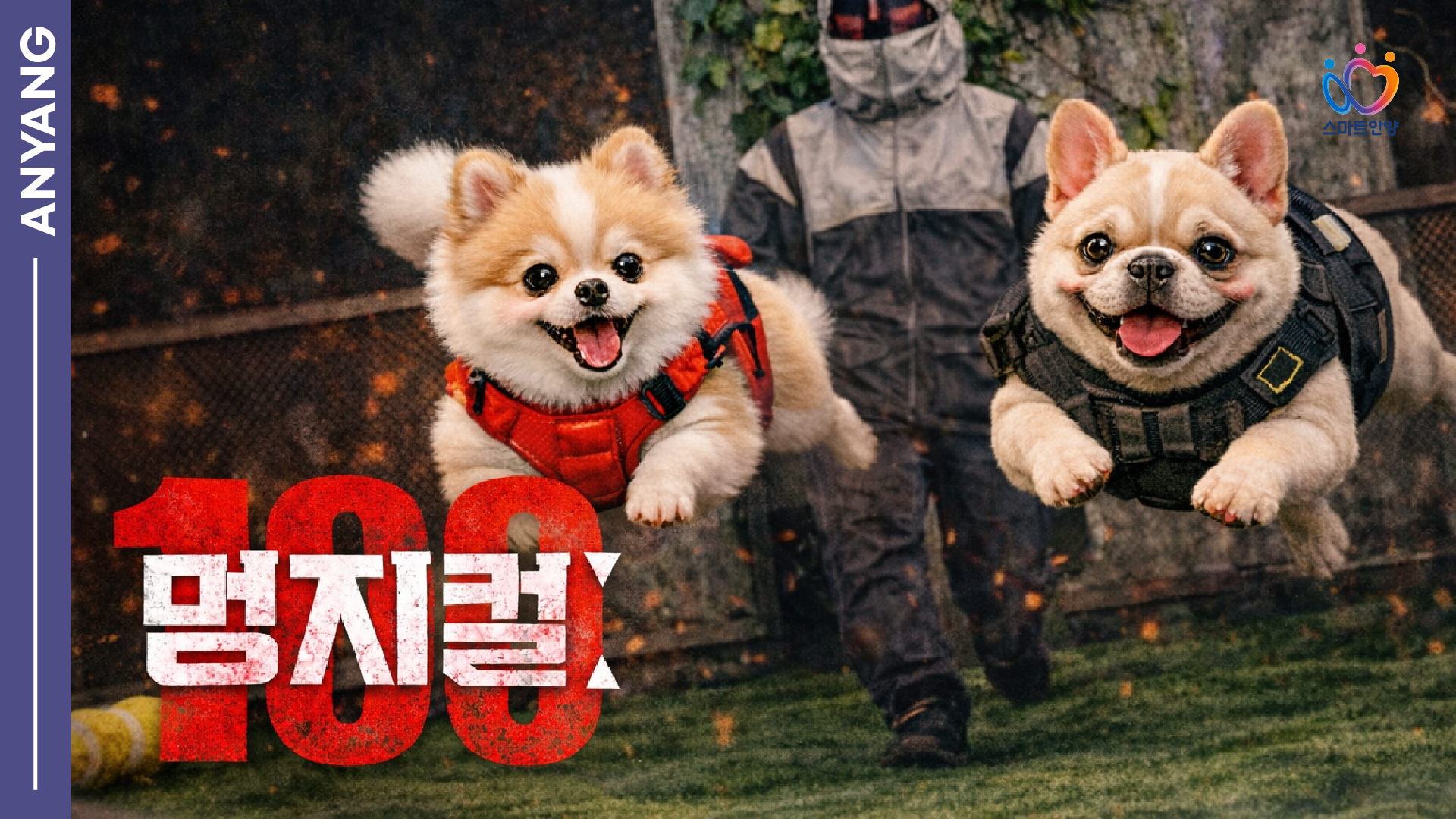 최선을 다해! 귀여워라!!! 멍지컬 100 #피지컬100 #패러디