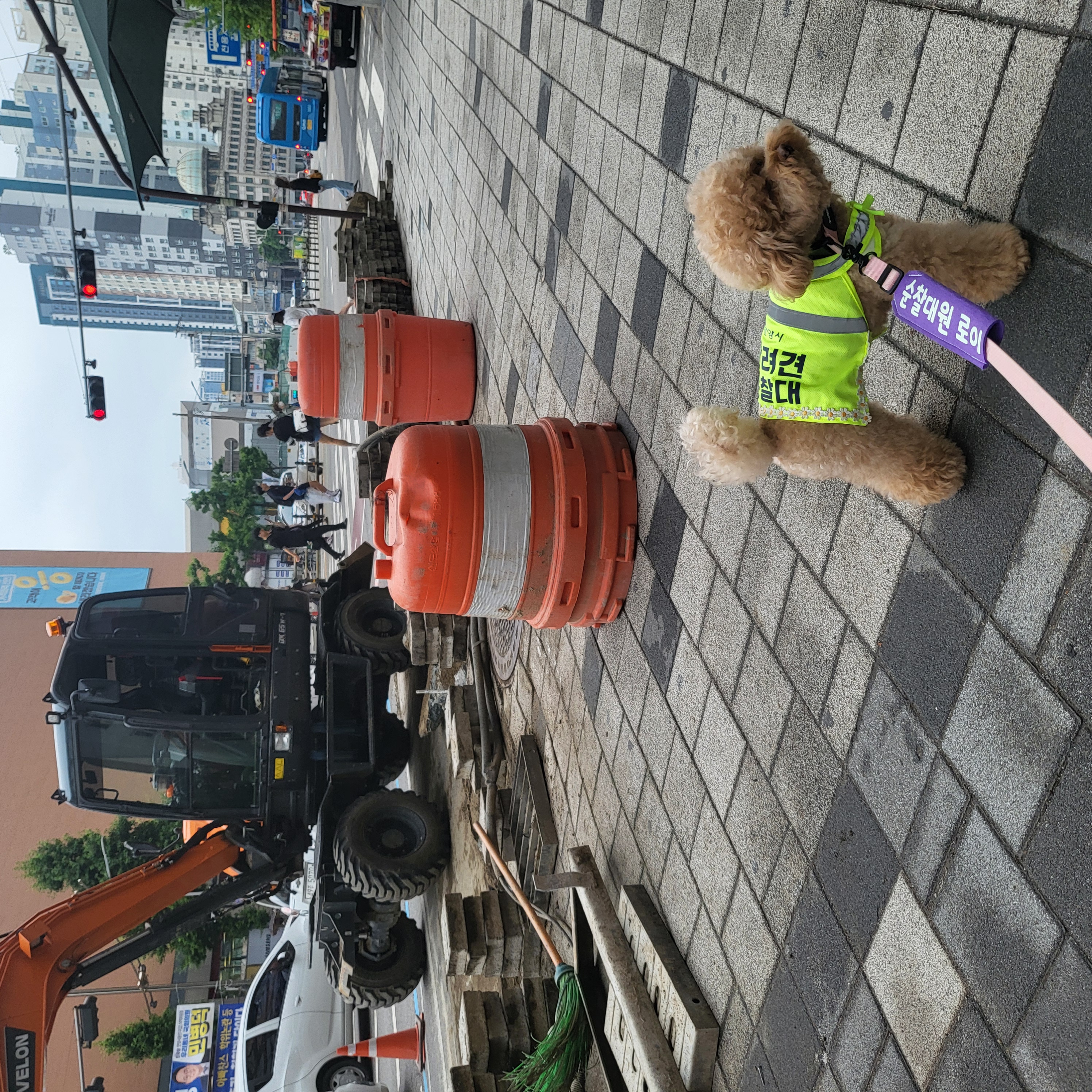 6월4주 로이대원 순찰일지 이미지