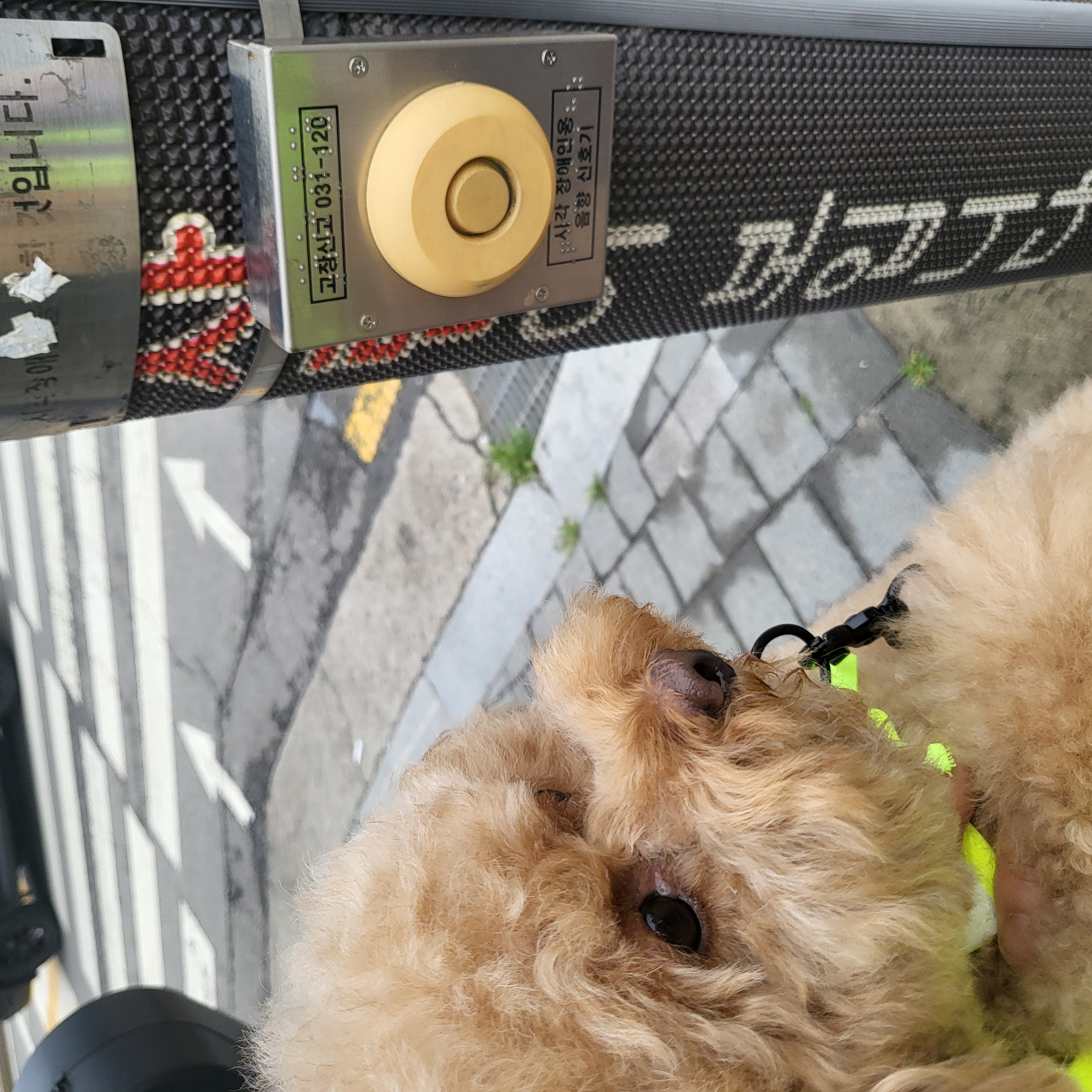 6월4주 로이대원 순찰일지 이미지