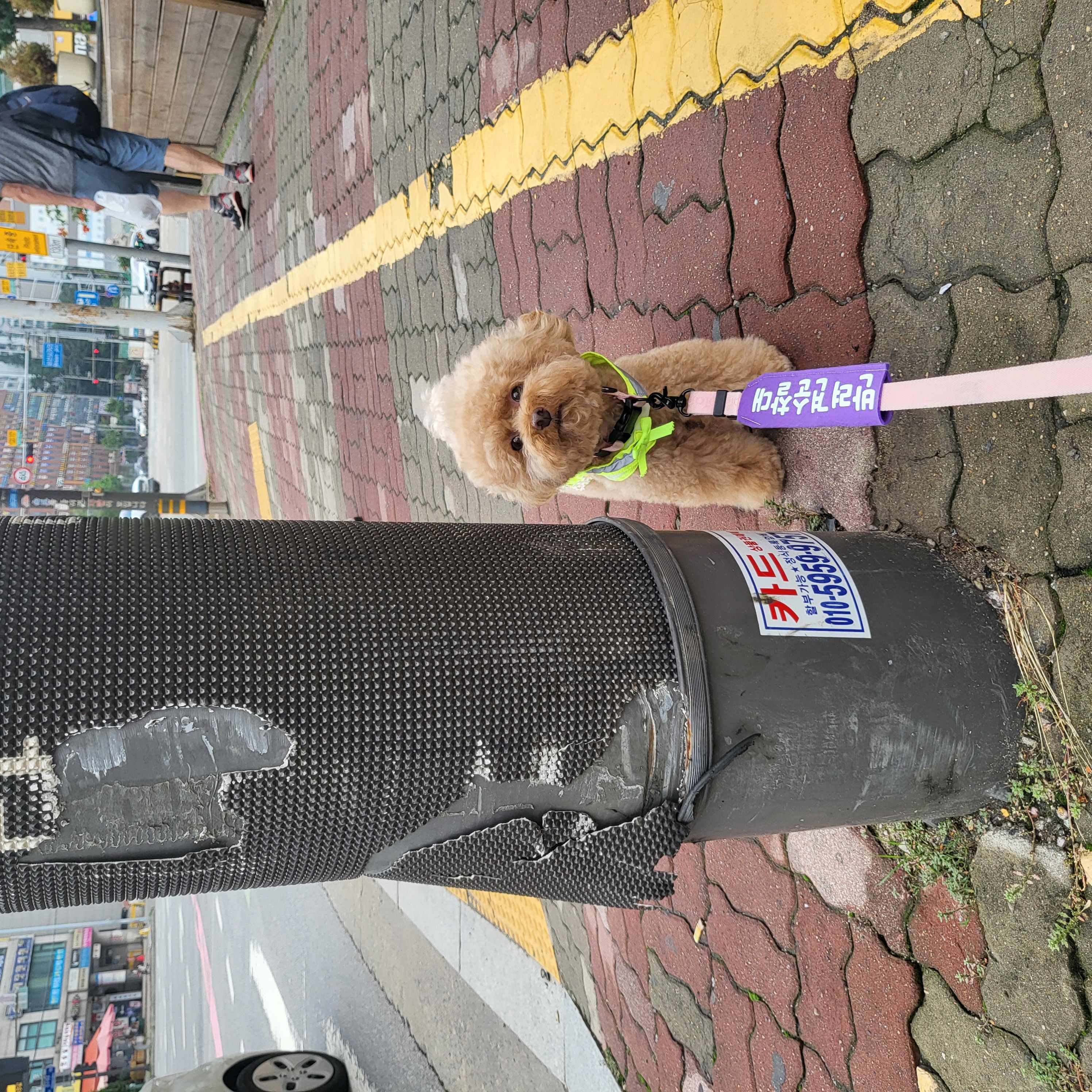 6월4주 로이대원 순찰일지 이미지