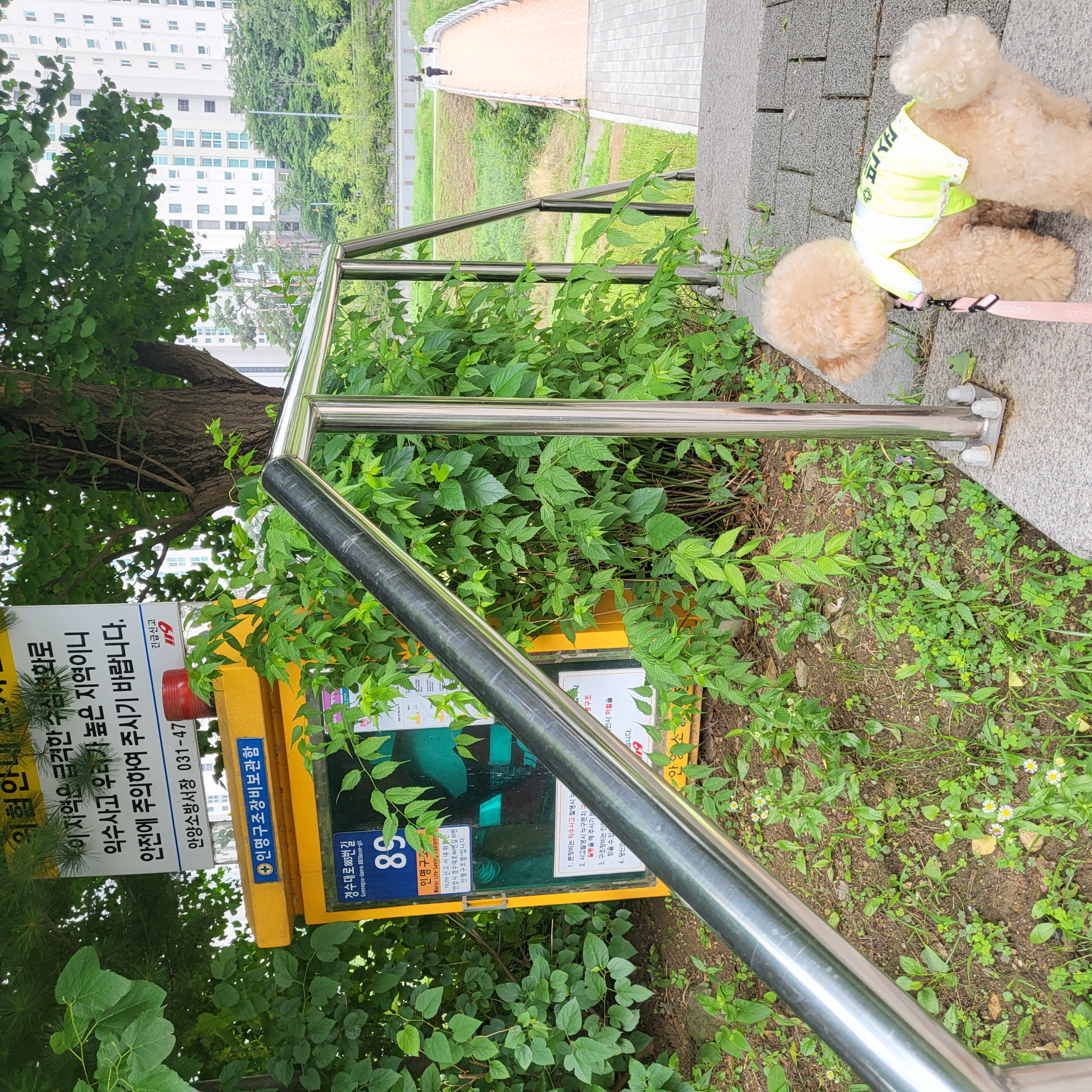 6월4주 로이대원 순찰일지 이미지