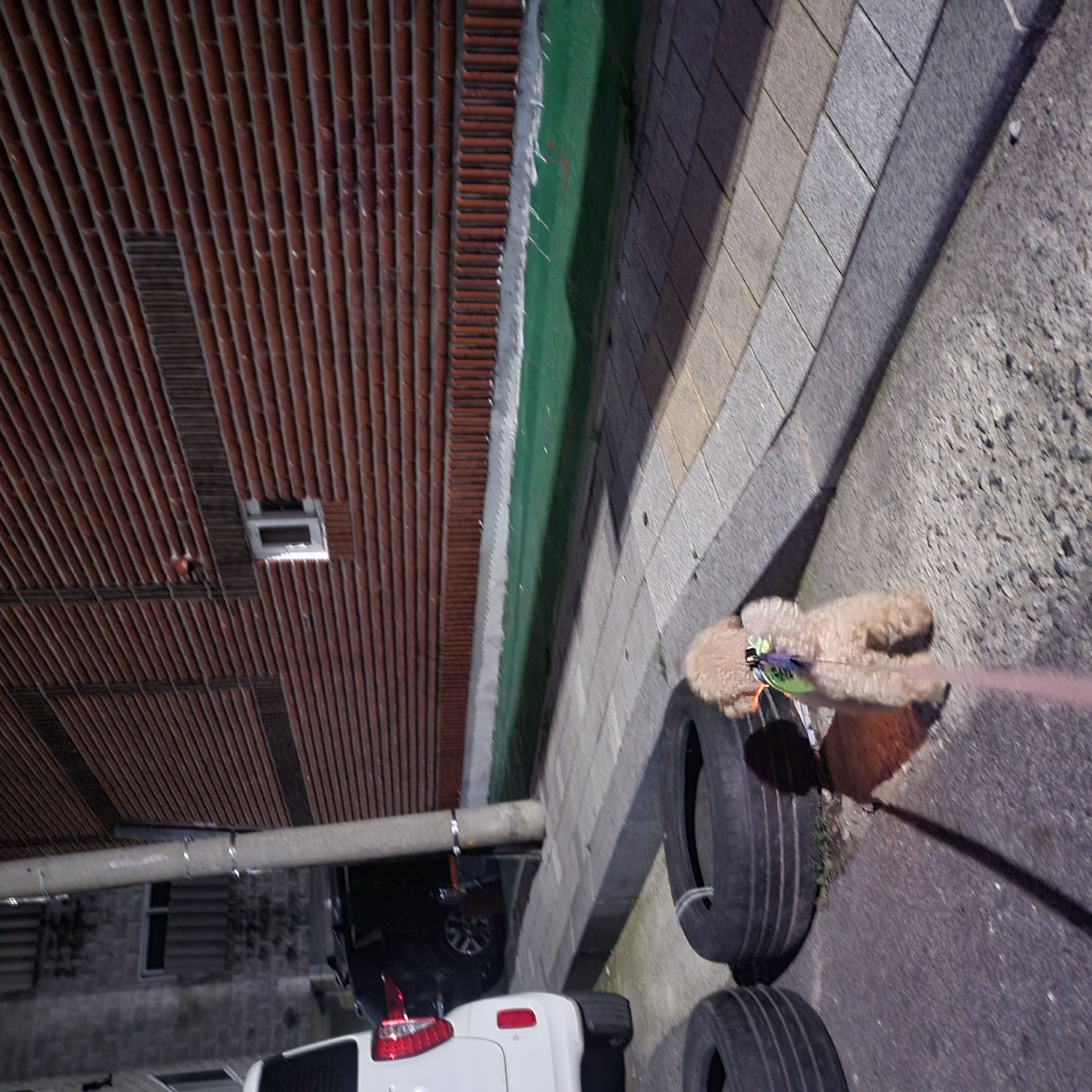 7월1주 로이대원 순찰일지 이미지