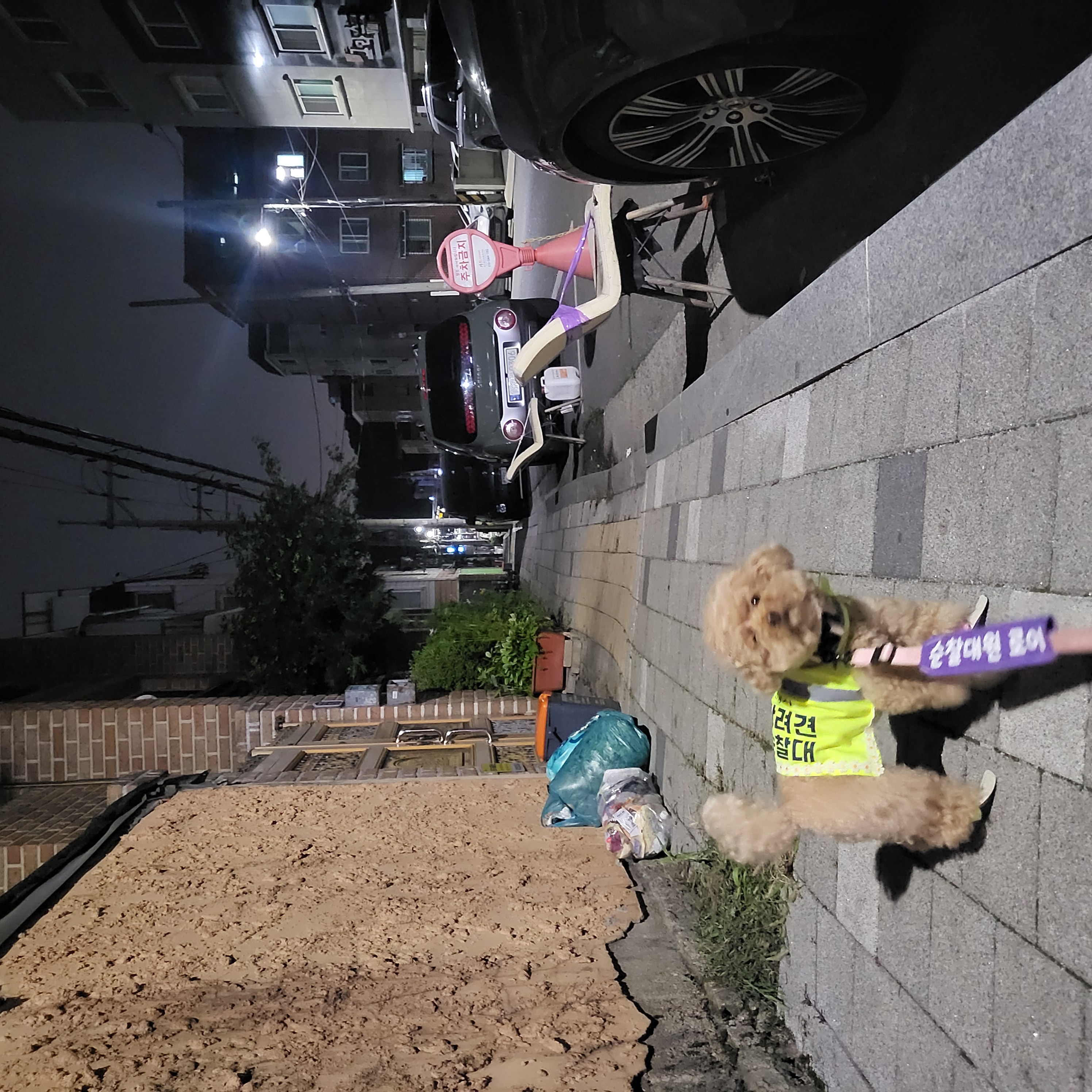 7월1주 로이대원 순찰일지 이미지