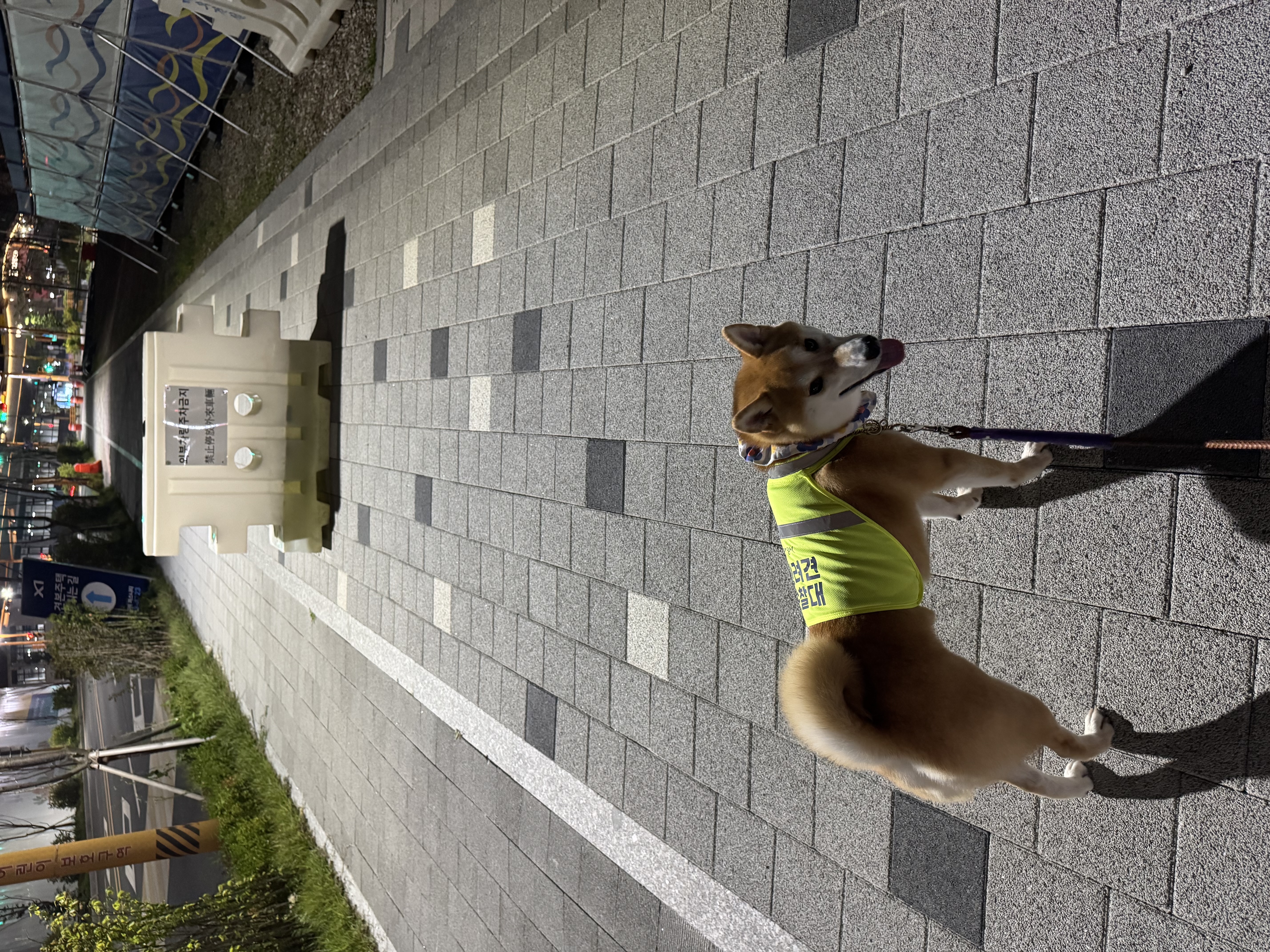 7월 1주~2주 _ 개별순찰일지_박하 이미지