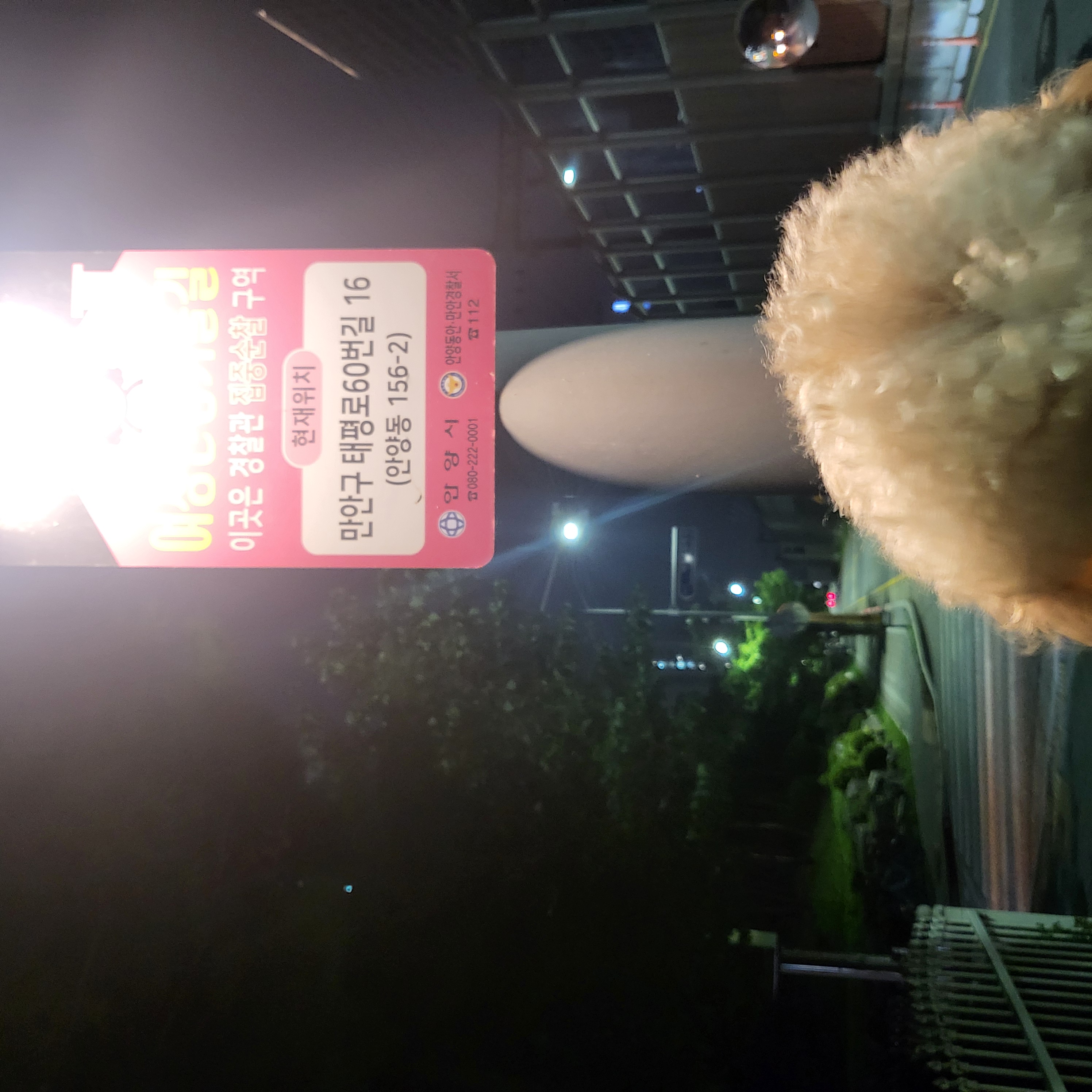 7월2주 로이대원 개별순찰일지 이미지