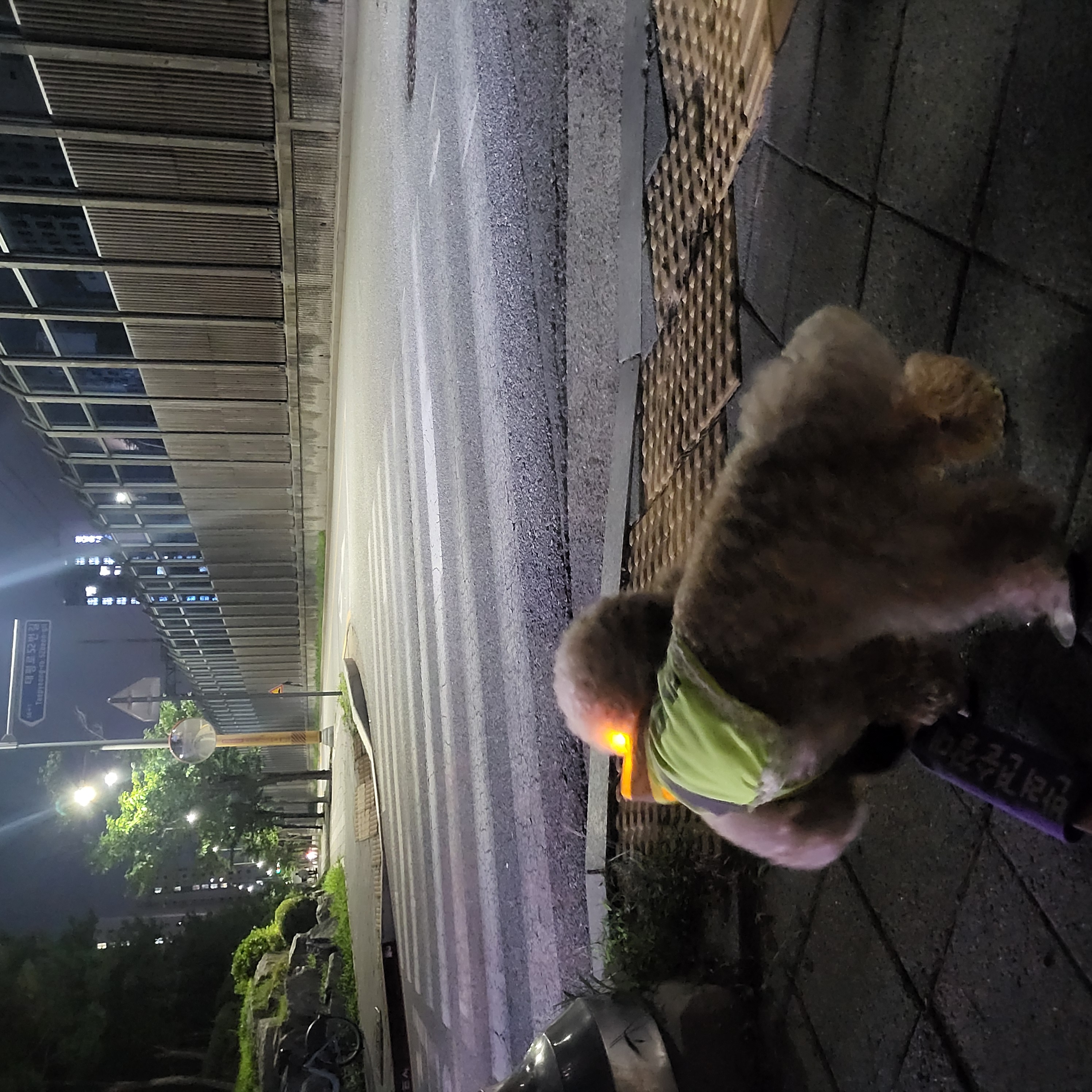 7월2주 로이대원 개별순찰일지 이미지