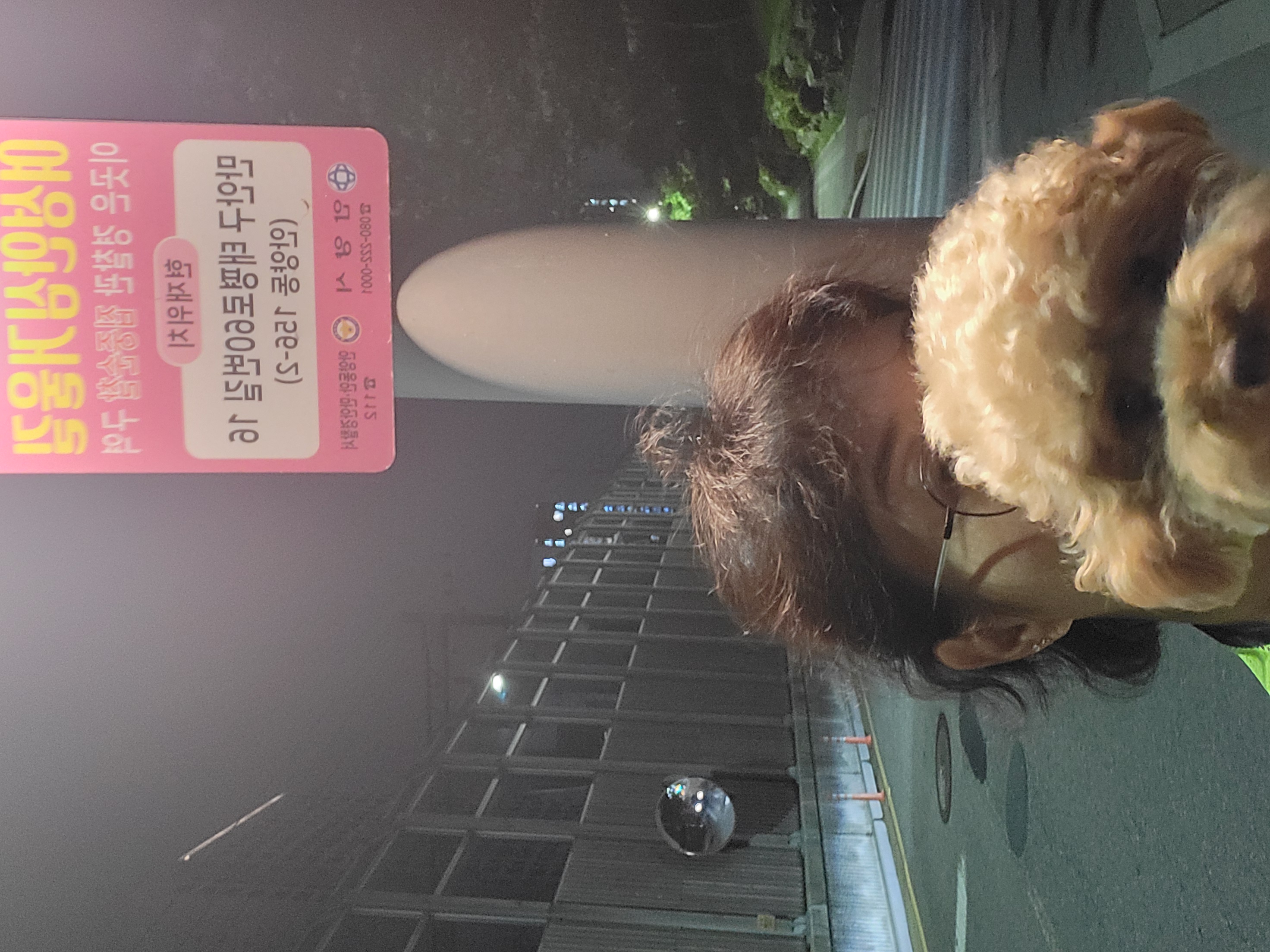 7월2주 로이대원 개별순찰일지 이미지