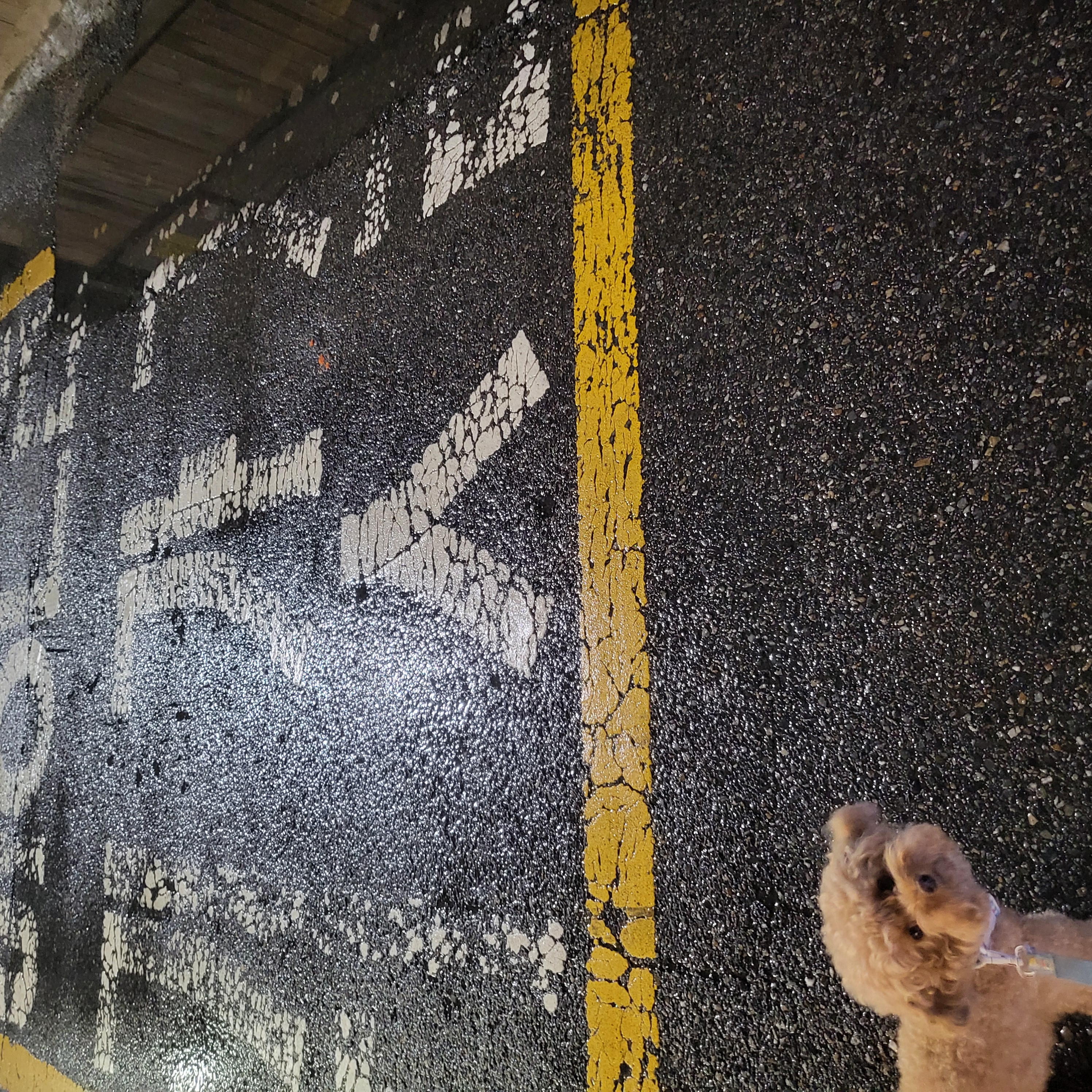 7월3주 로이대원 개별순찰일지 이미지