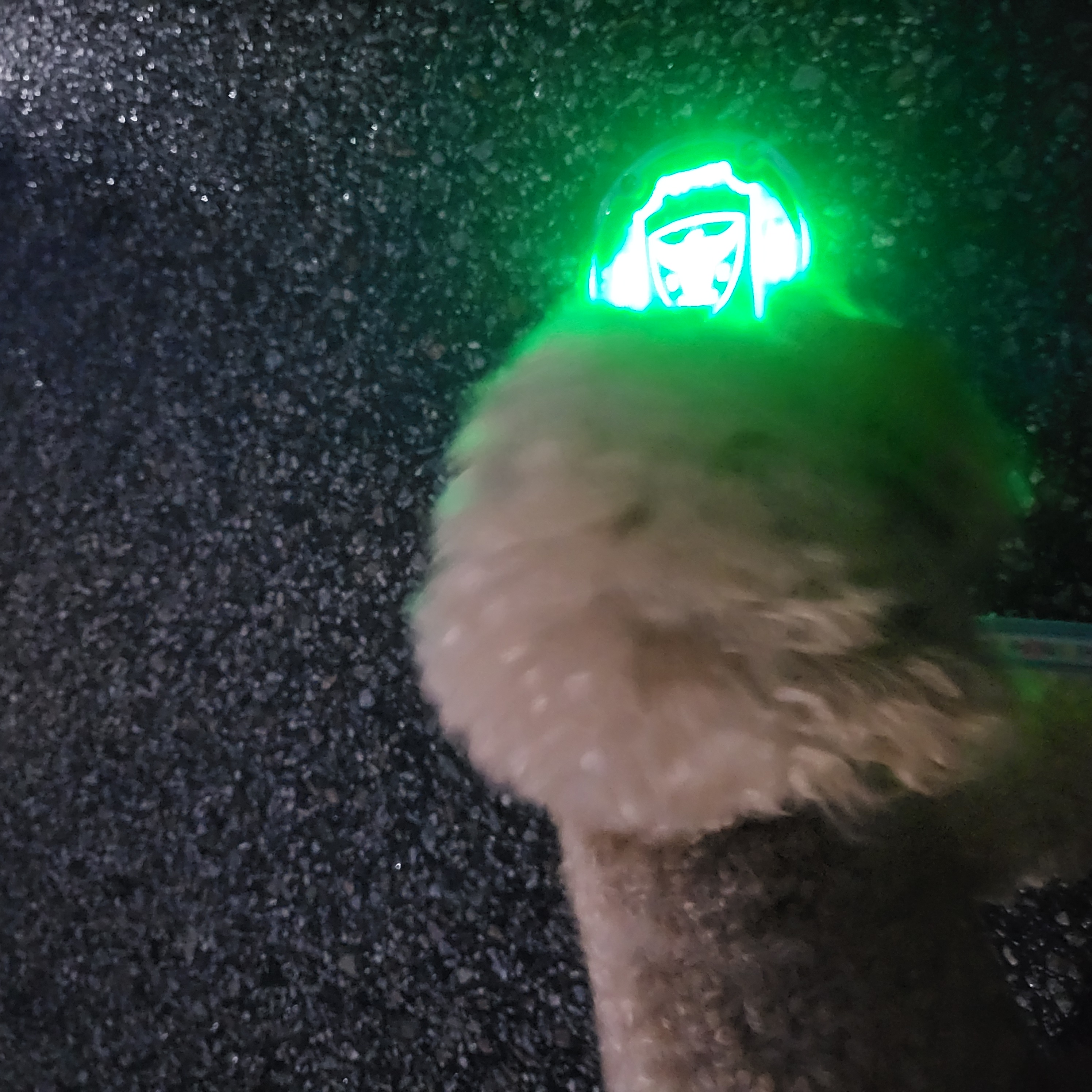 7월3주 로이대원 개별순찰일지 이미지