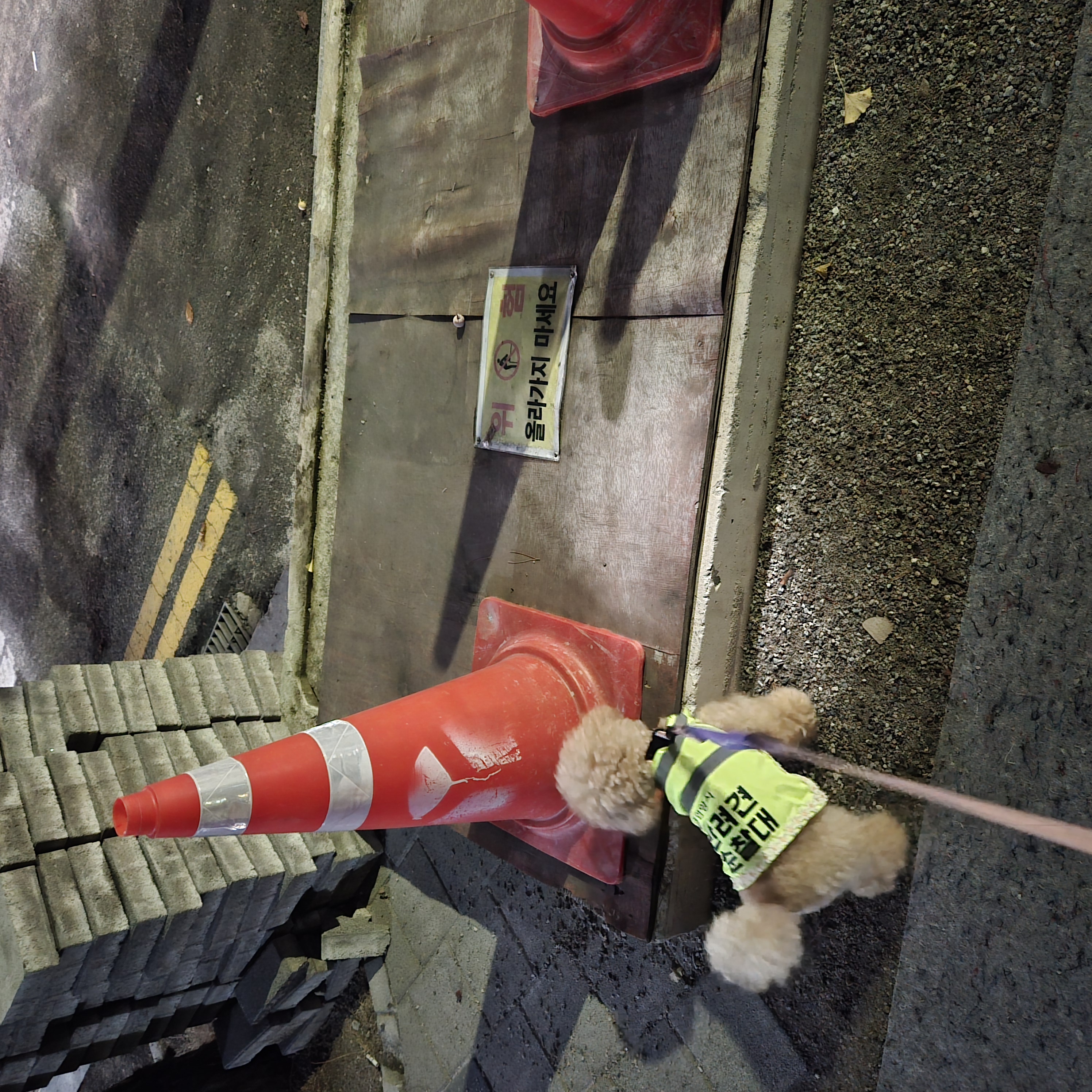 9월1주 로이대원 순찰일지 이미지