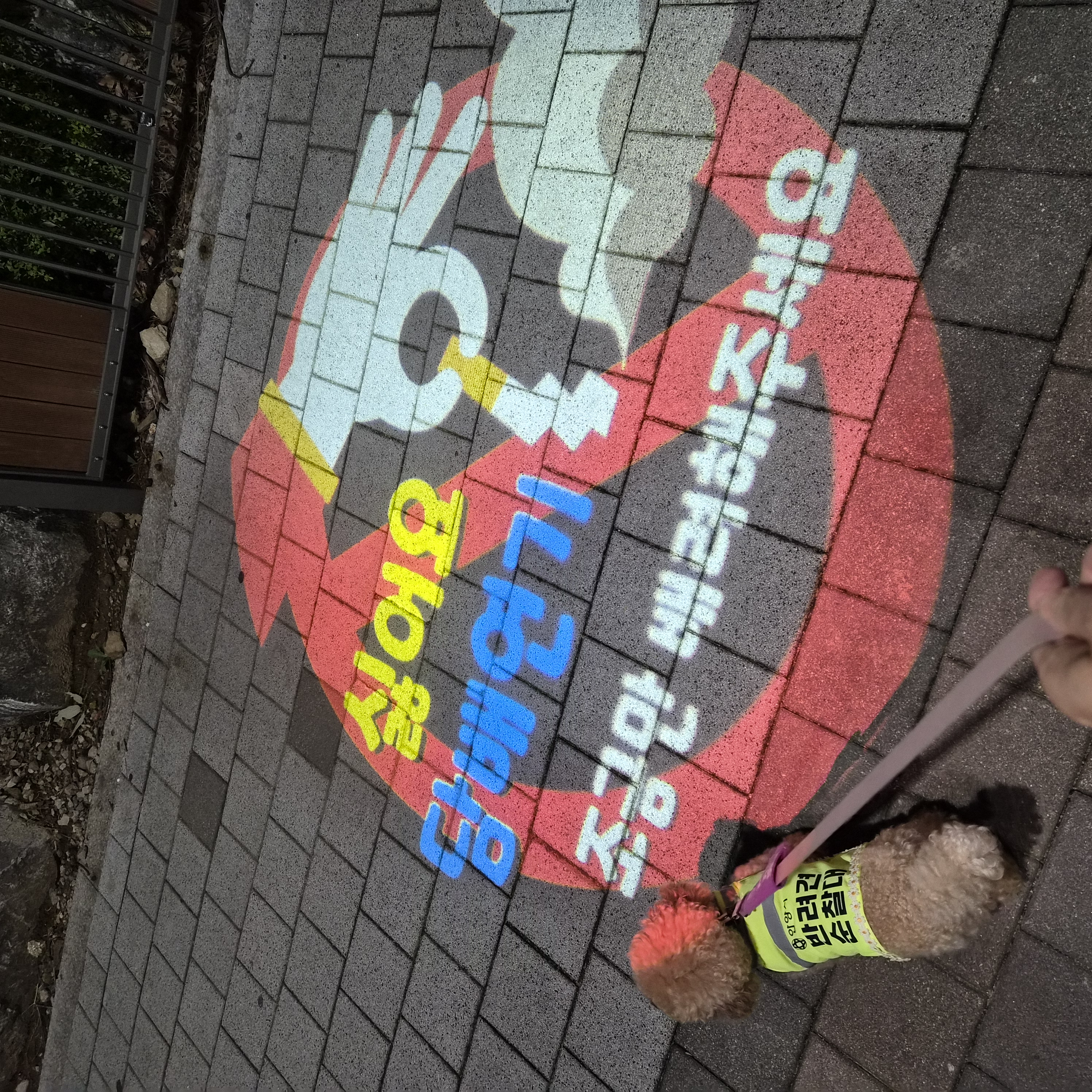 9월1주 로이대원 순찰일지 이미지