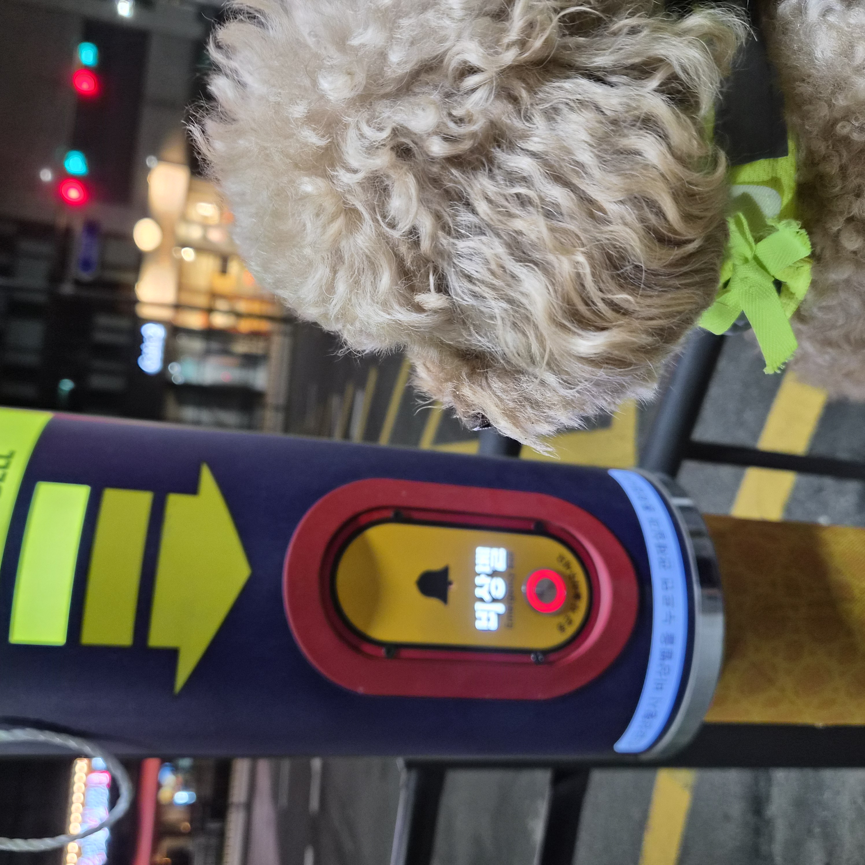 9월1주 로이대원 순찰일지 이미지