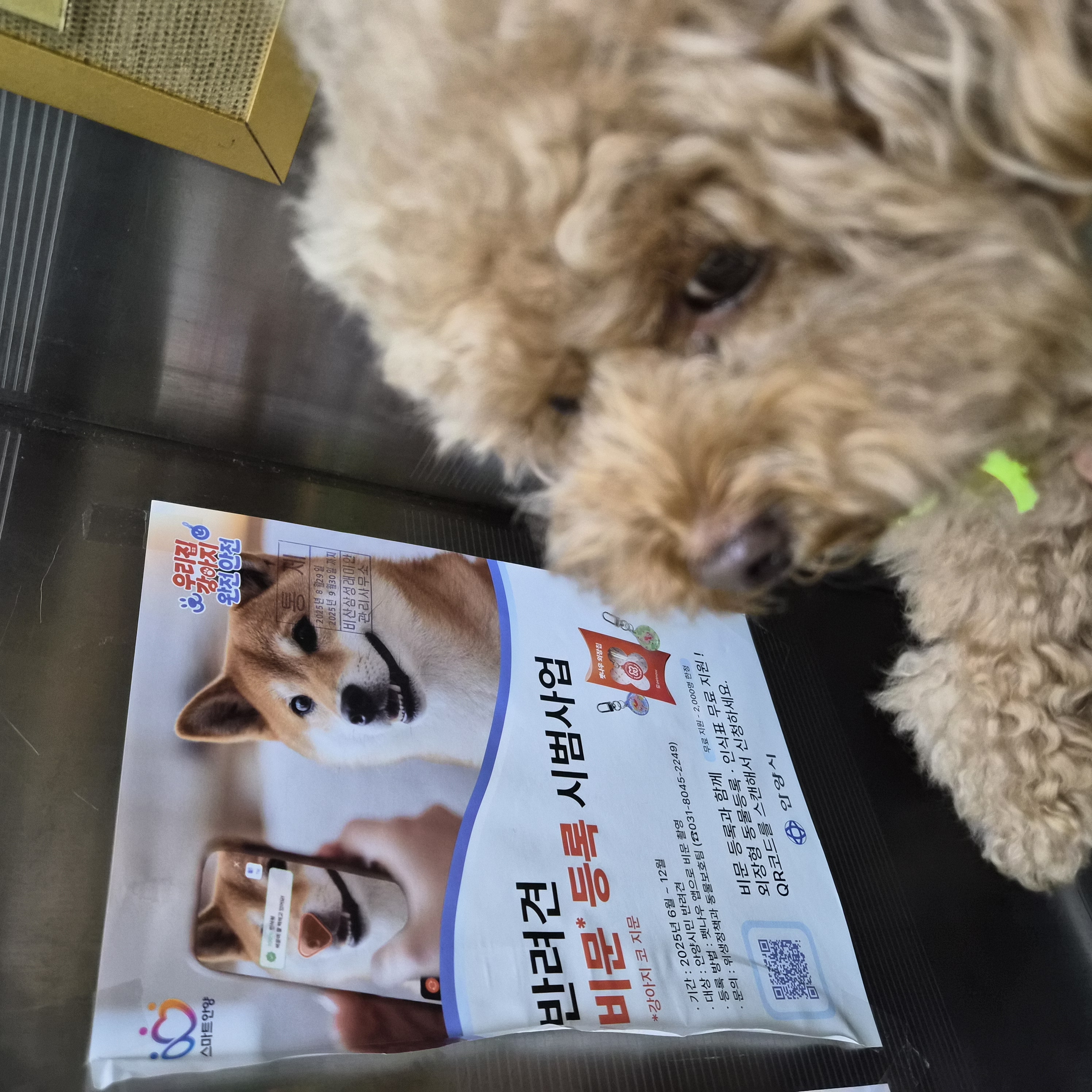 9월1주 로이대원 순찰일지 이미지