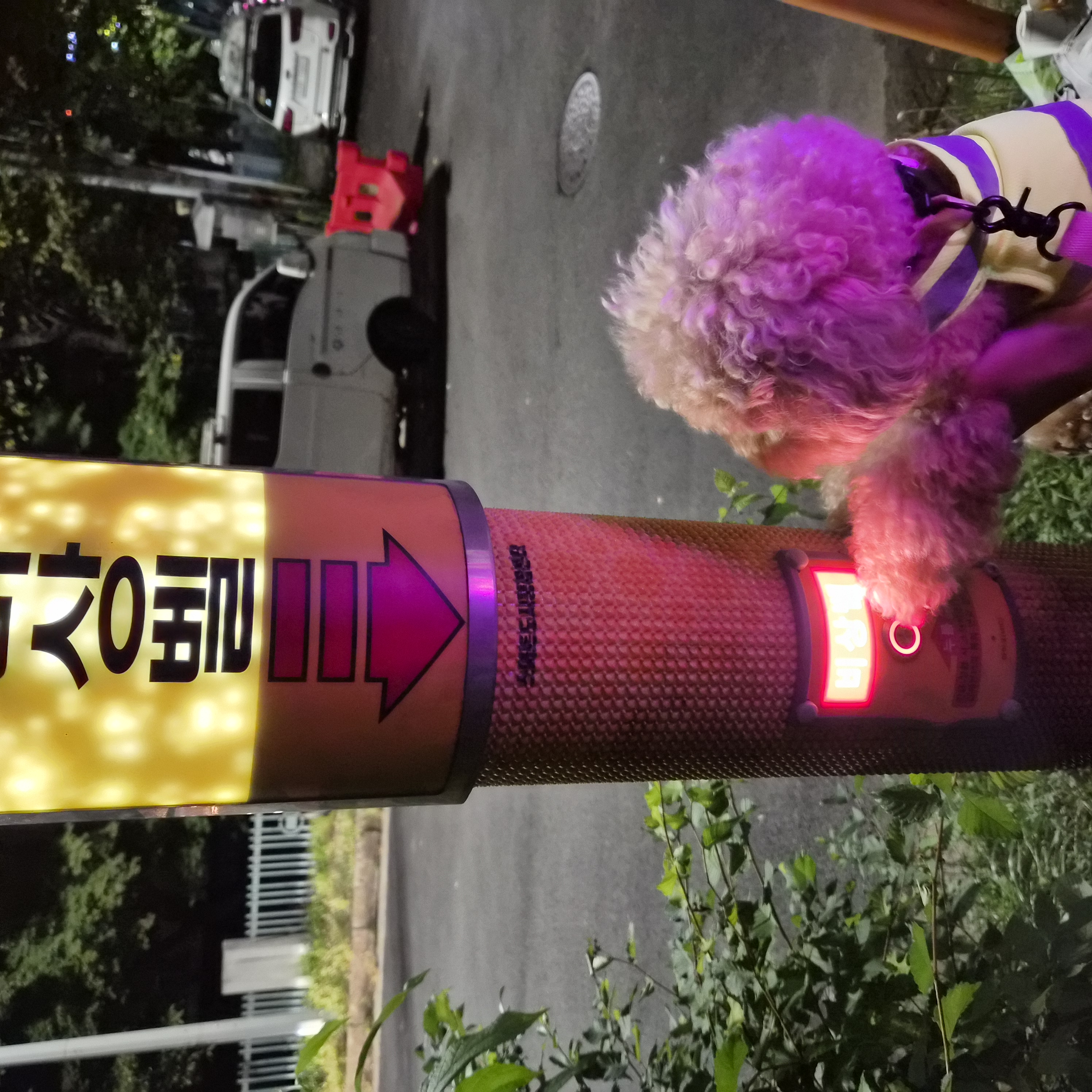 9월2째주 로이대원 순찰일지 이미지