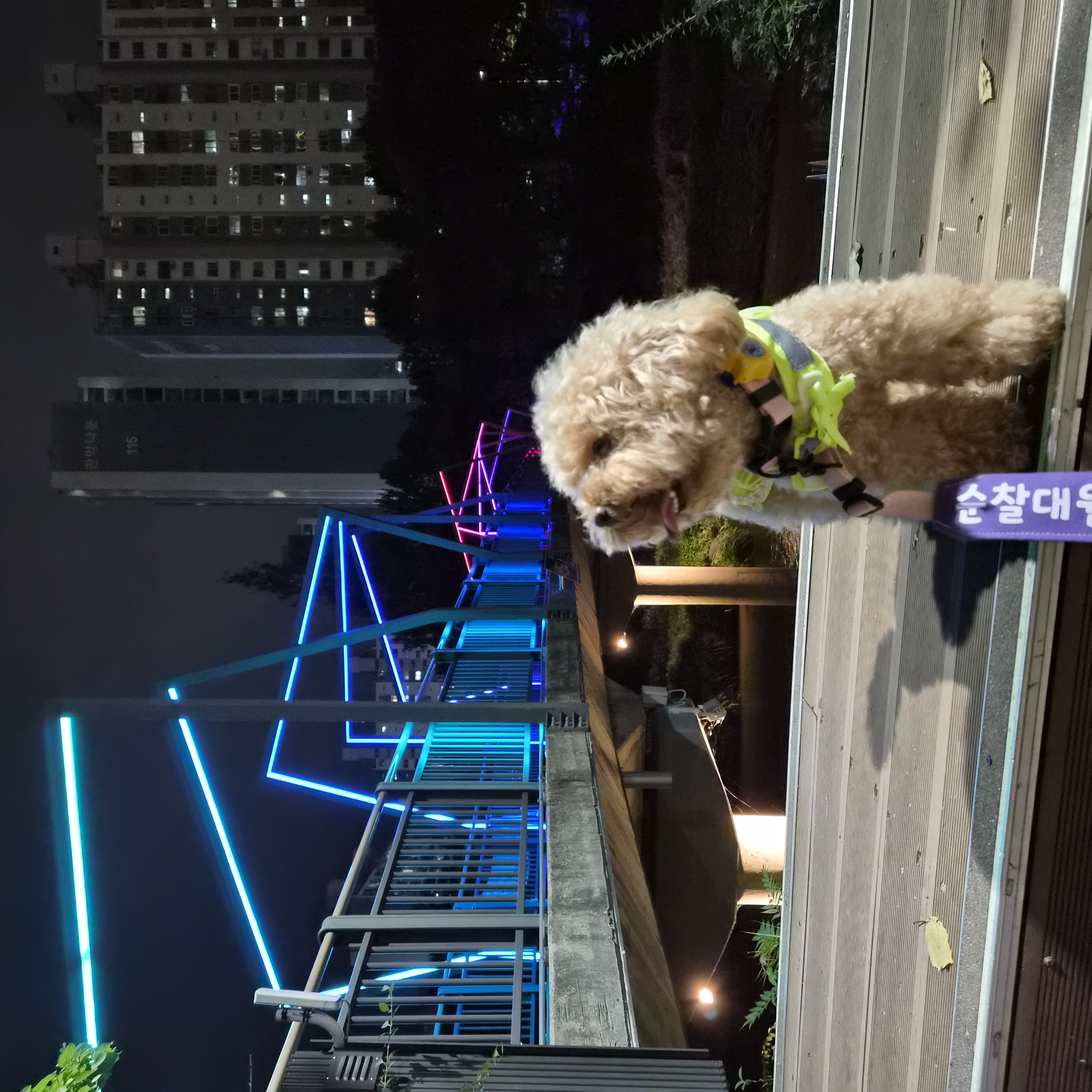 9월2째주 로이대원 순찰일지 이미지