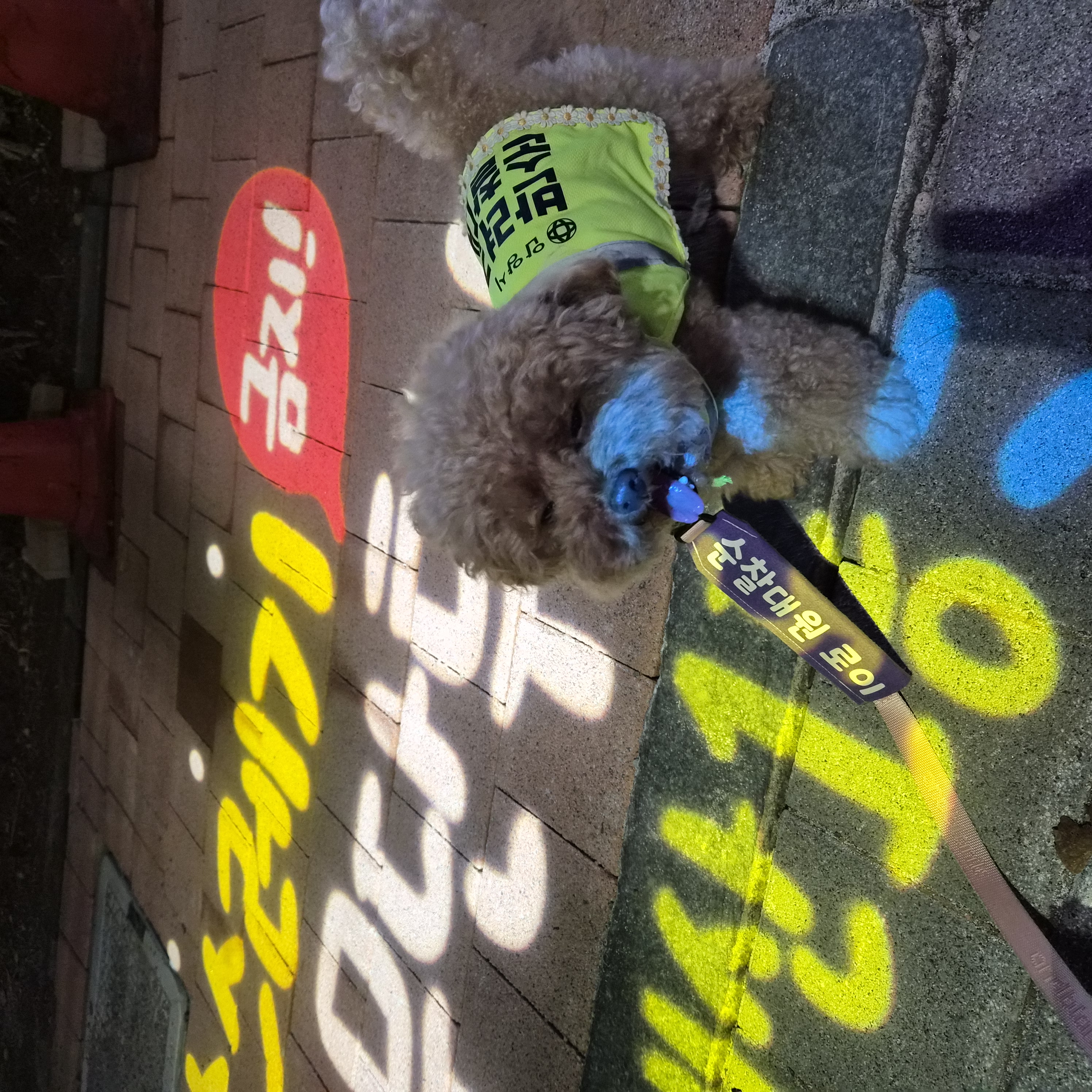 9월2째주 로이대원 순찰일지 이미지