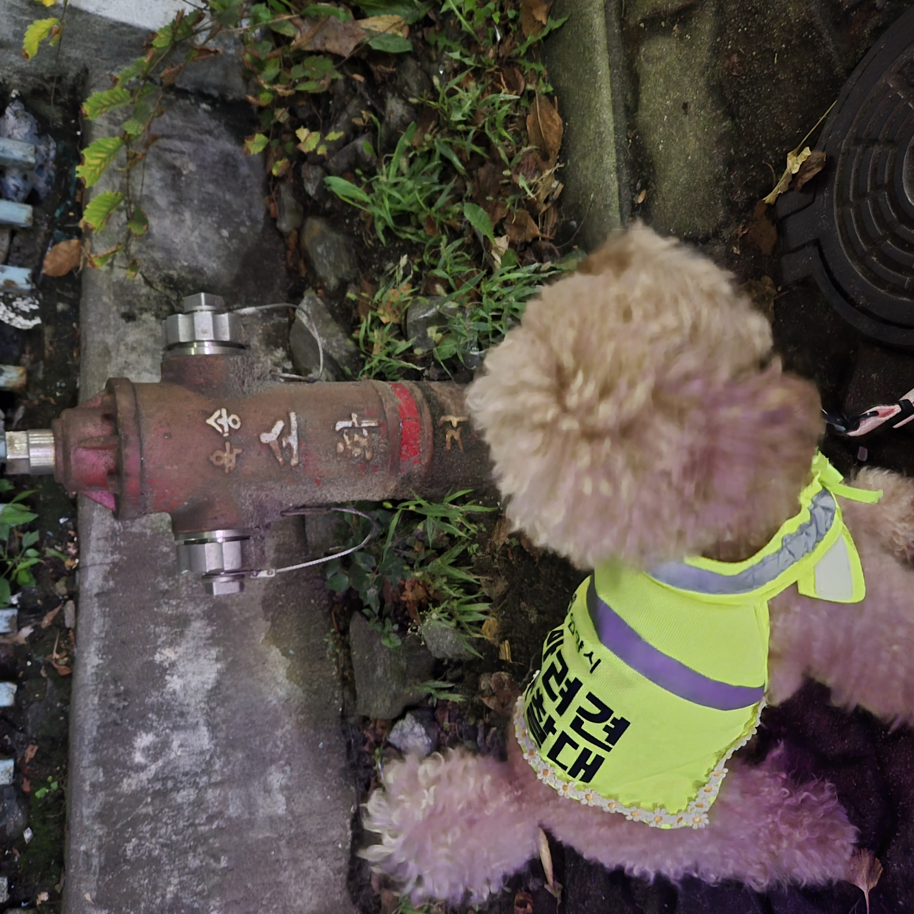 9월2째주 로이대원 순찰일지 이미지