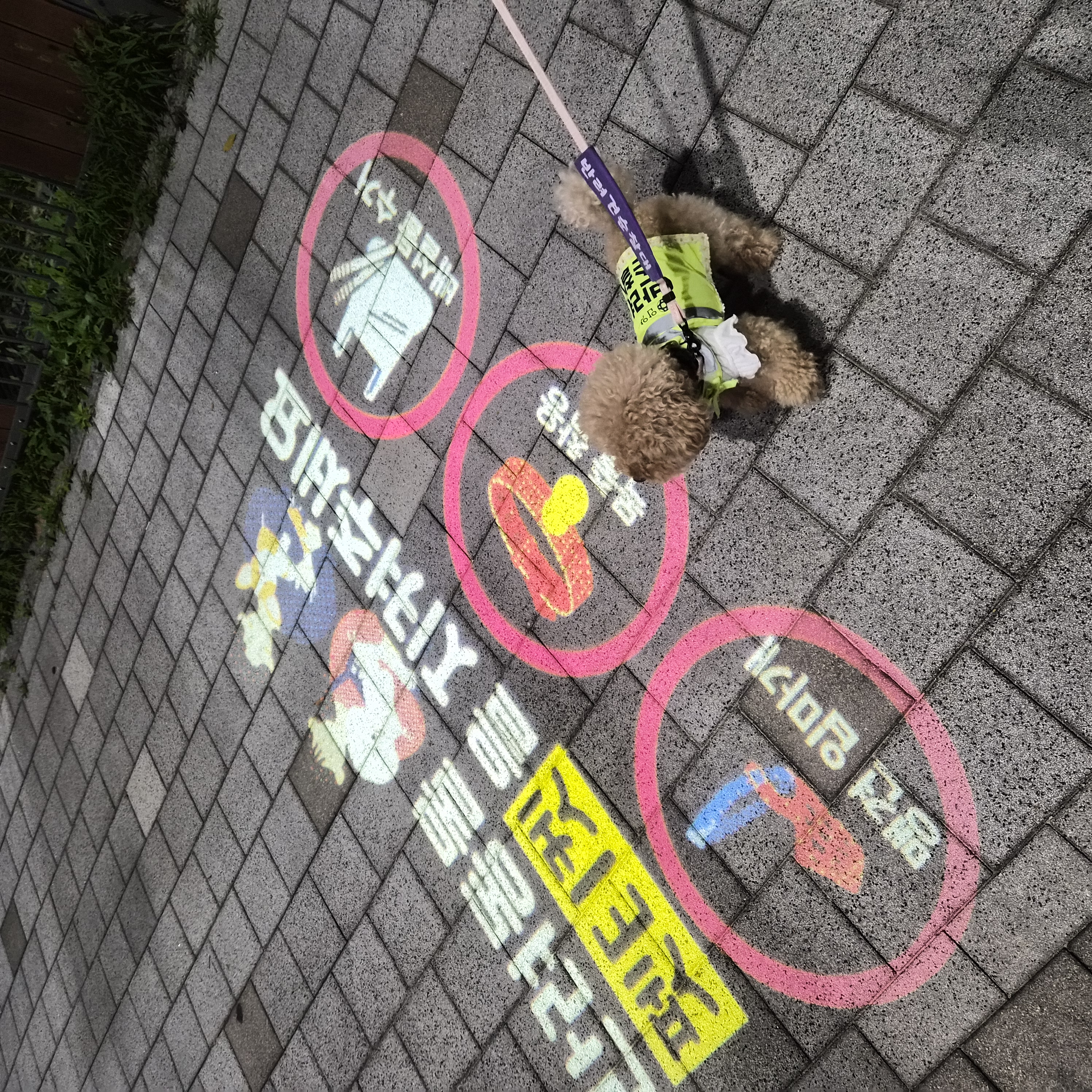 9월 3주 로이대원 순찰일지 이미지