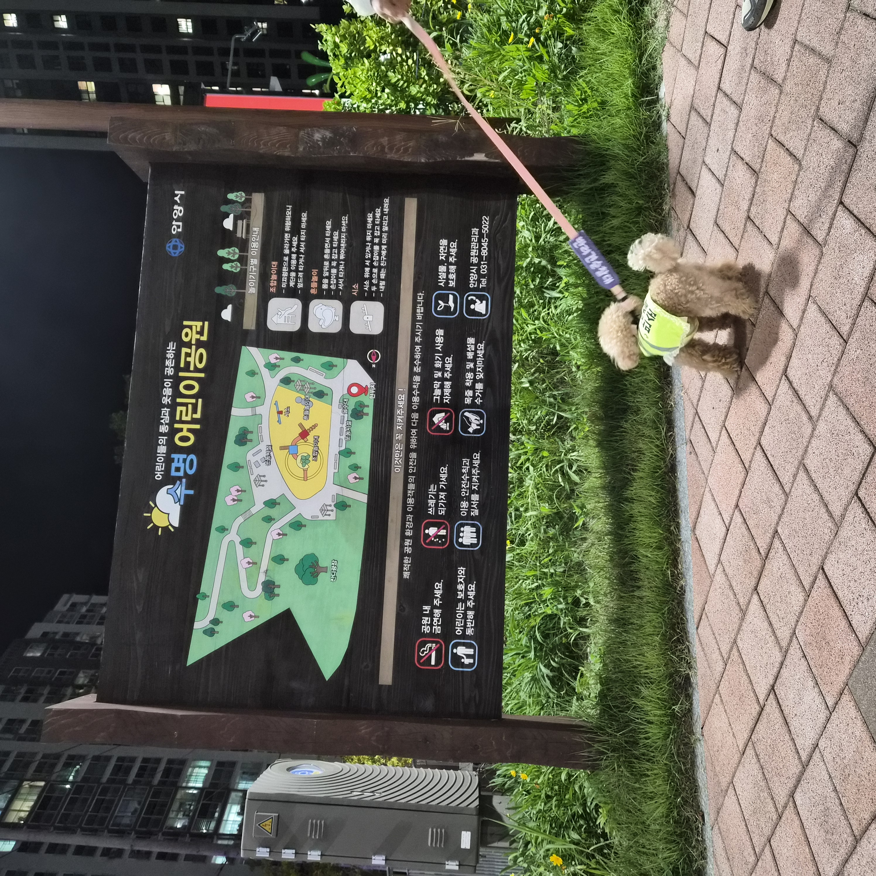 9월 3주 로이대원 순찰일지 이미지