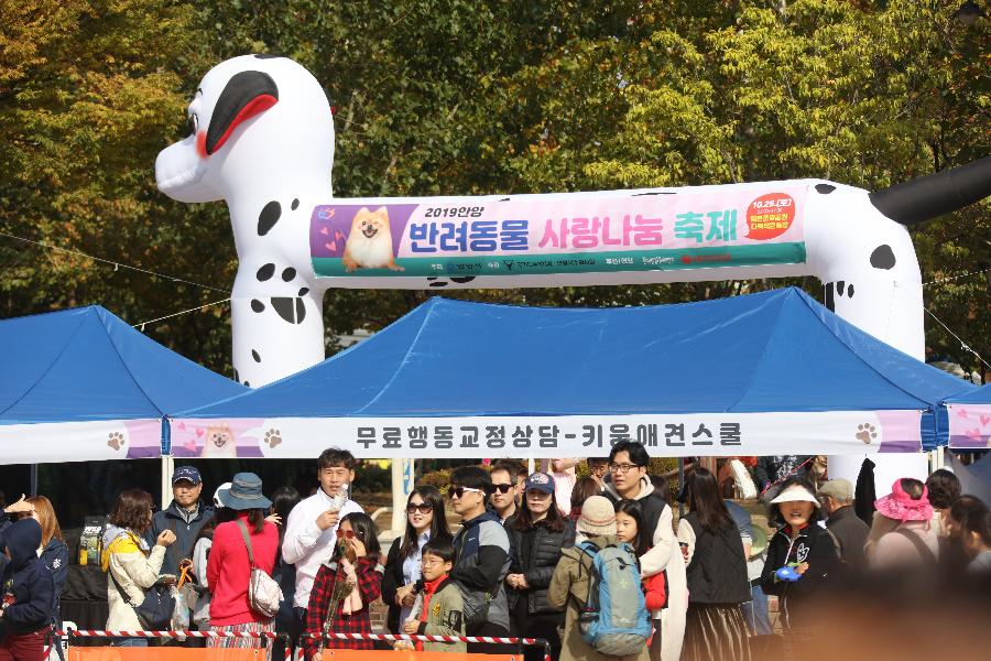 반려동물사랑나눔축제 이미지