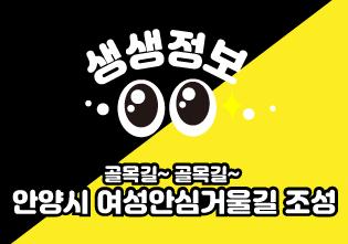 [20-07] 여성안심거울길 조성 이미지