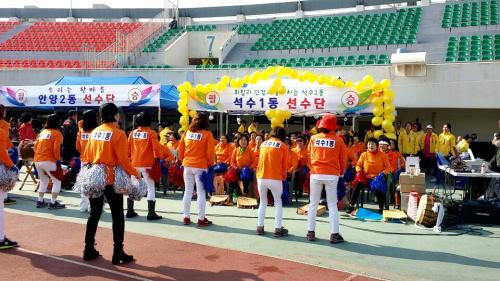 2014 시민체육대회 실시 이미지