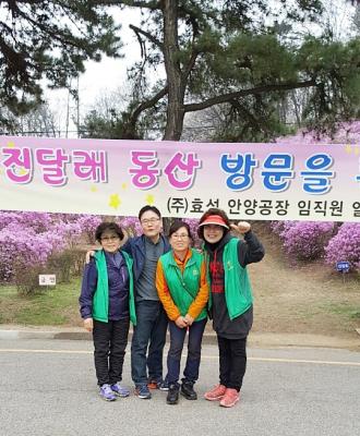 2016년 효성 진달래 축제_4 이미지