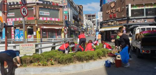 주요 도로변 가을꽃 식재 이미지
