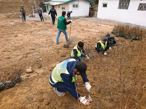걷고 싶은 삼봉꽃길 조성 사업 이미지