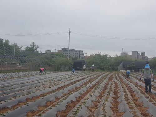 『행복 스마트 팜 』 조성 이미지