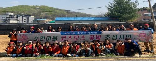 호현마을 코스모스 꽃밭 조성  이미지