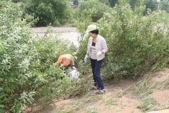 7.29 하천정화운동 이미지