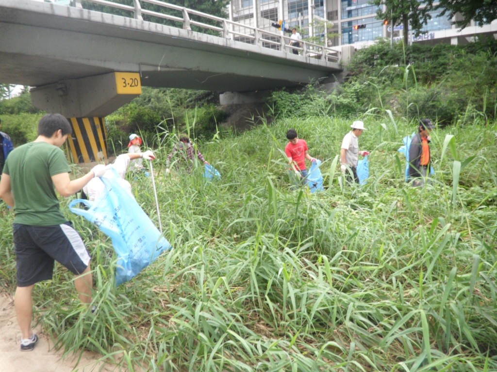 장마이후 하천 정화활동 실시 이미지
