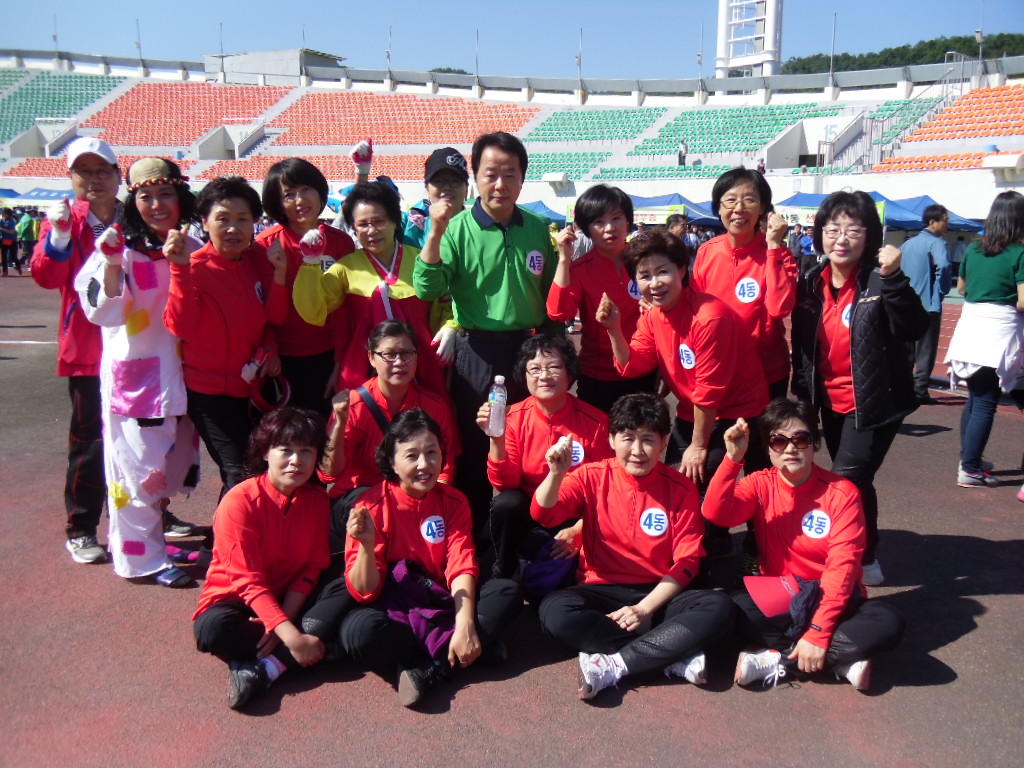 2013년 안양시민체육대회2 이미지