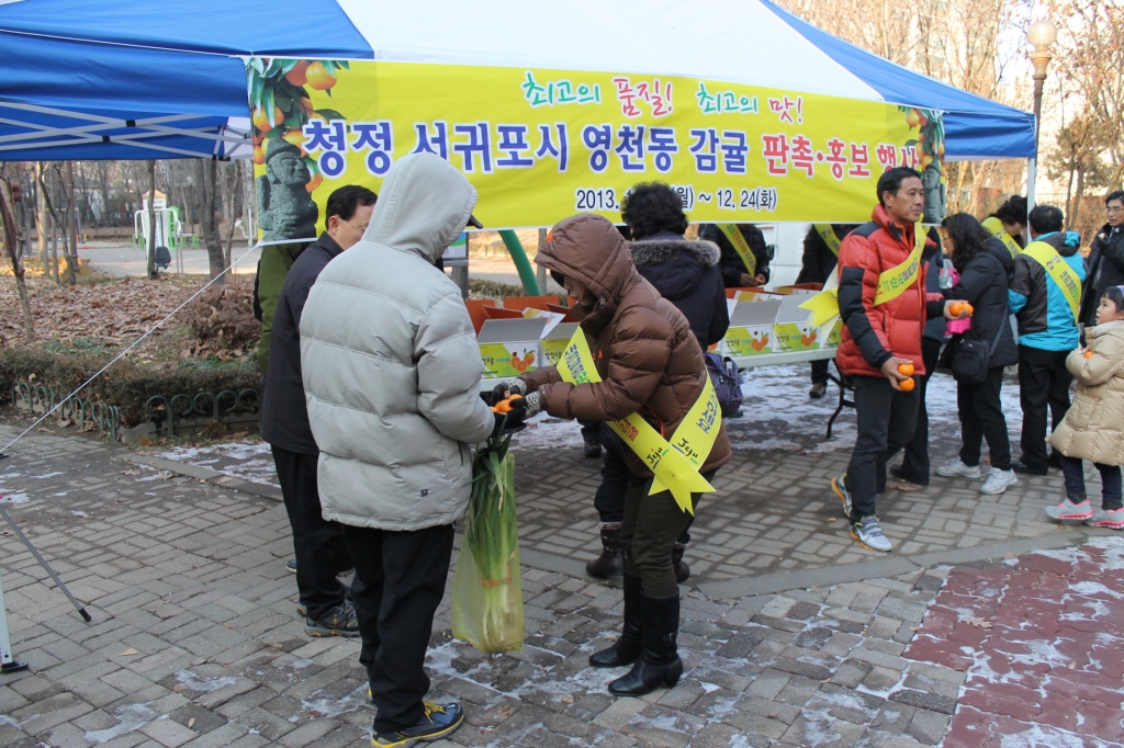 자매동 제주 서귀포시 영천동주민센터 부흥동 방문 이미지